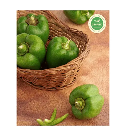 Organic Certified Green Capsicum (Dappa Menasinakaayi) 250 g