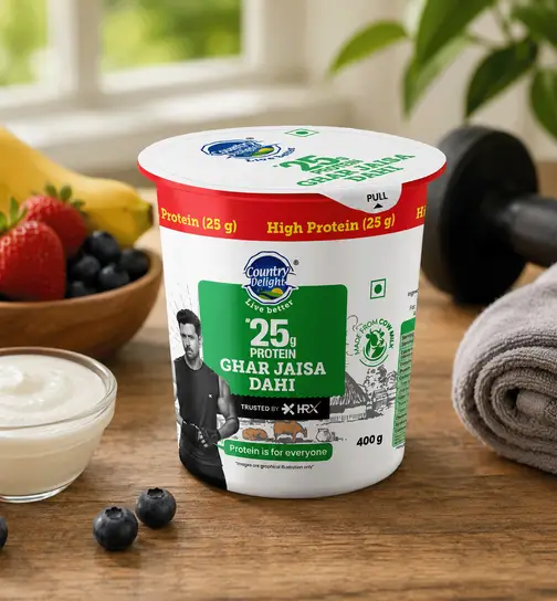 Country Delight 25g Protein Ghar Jaisa Dahi 400 g