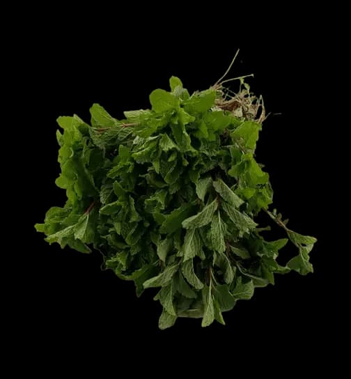 Organic Certified Mint Leaves (Pudina) 100 g